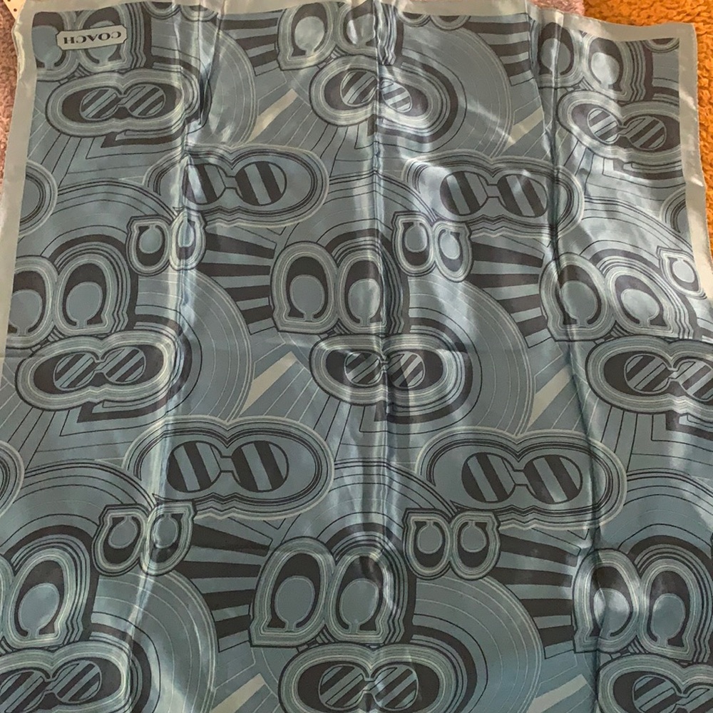 Silk coach scarf
